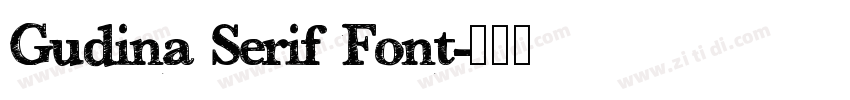 Gudina Serif Font字体转换
